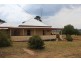 315 Mt Lindesay Road, Tenterfield NSW 2372