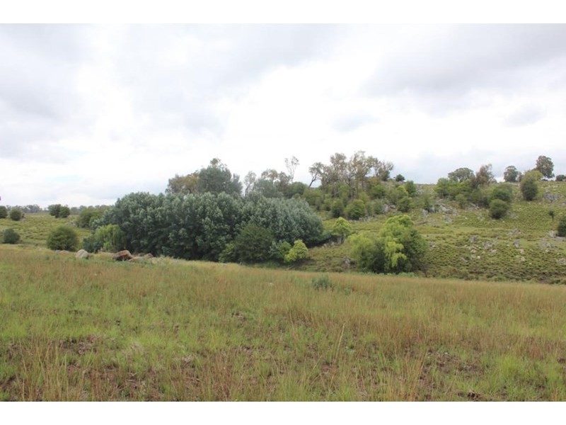 Lt 1and2 DP34165 315 Mt Lindesay Road, Tenterfield NSW 2372