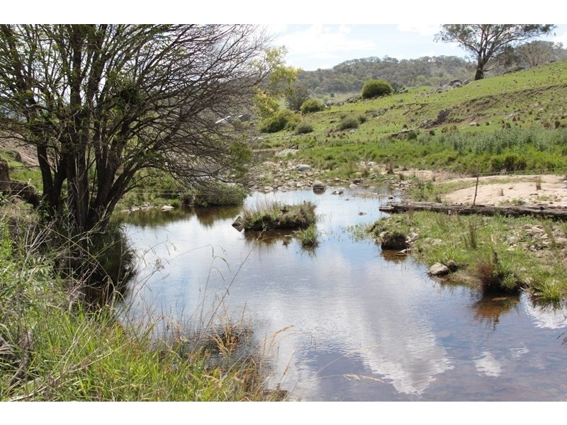 171 Brassington Creek Road, Tenterfield NSW 2372