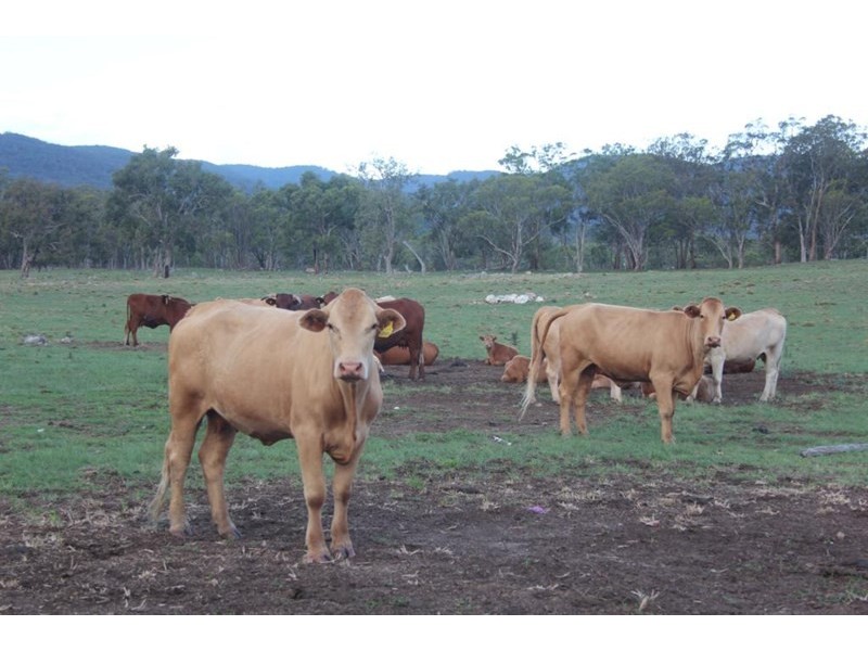 Lot 66 Bruxner Highway, Tenterfield NSW 2372