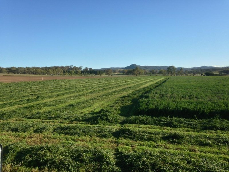 Lot 66 Bruxner Highway, Tenterfield NSW 2372