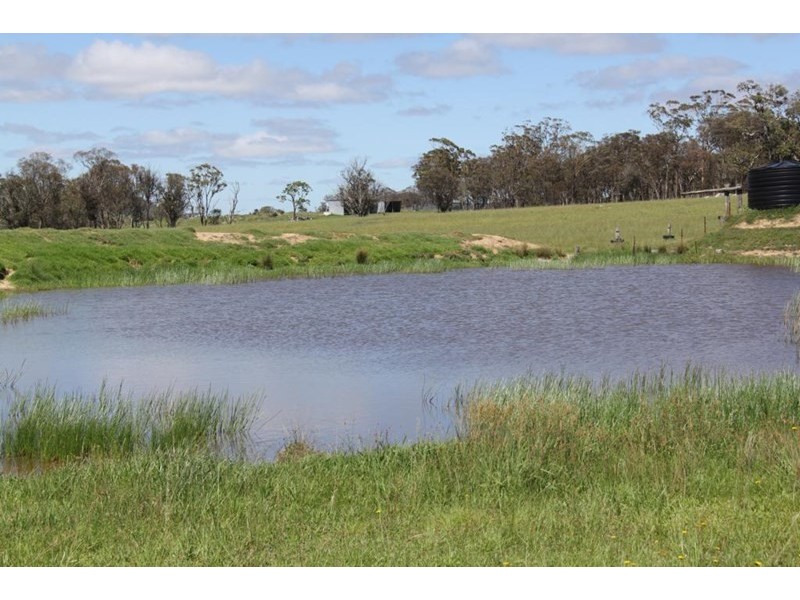 . Scrub Road, Tenterfield NSW 2372