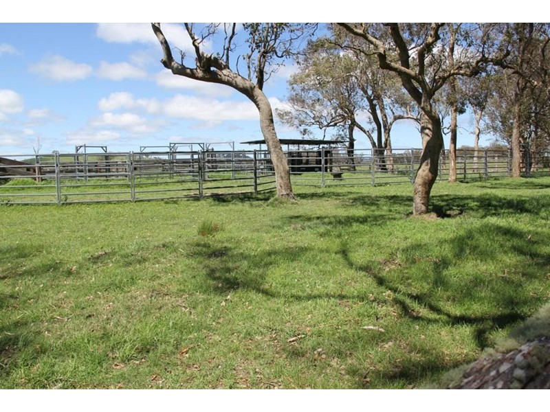 . Scrub Road, Tenterfield NSW 2372