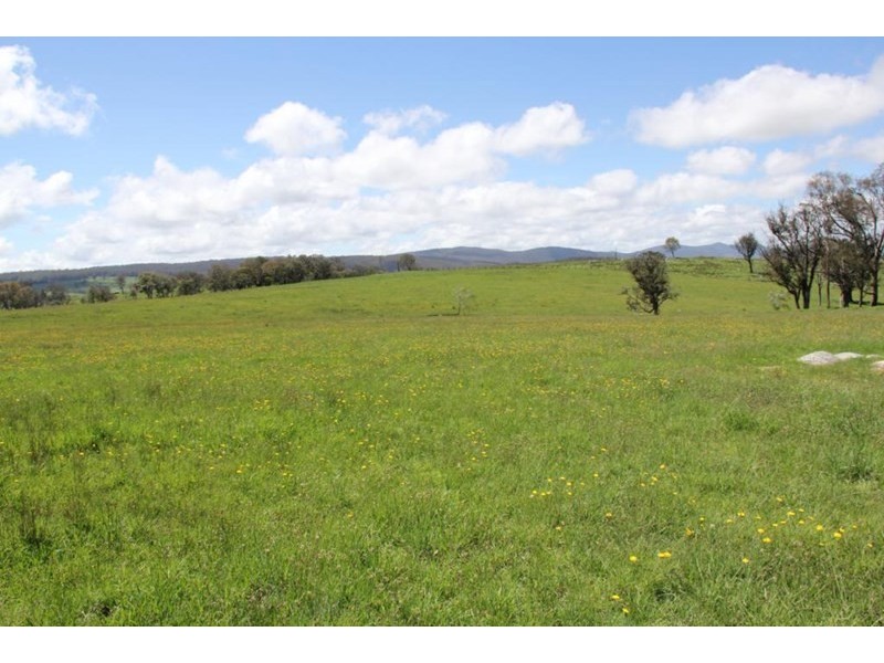 . Scrub Road, Tenterfield NSW 2372
