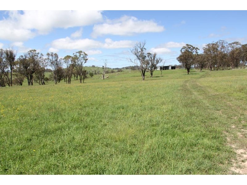 . Scrub Road, Tenterfield NSW 2372
