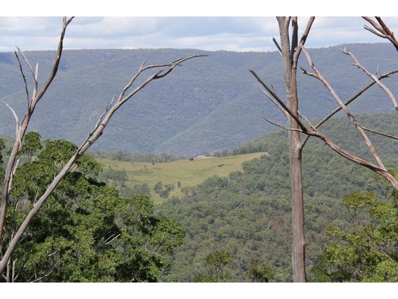 1565 Billarimba Road, Tenterfield NSW 2372