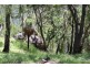 1565 Billarimba Road, Tenterfield NSW 2372