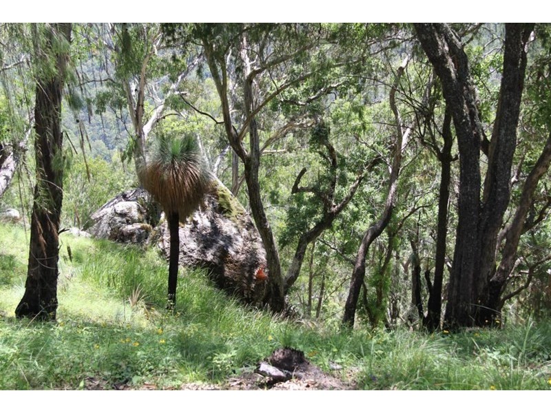 1565 Billarimba Road, Tenterfield NSW 2372