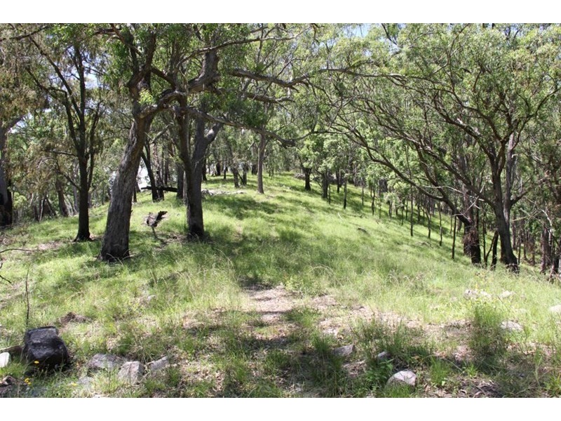 1565 Billarimba Road, Tenterfield NSW 2372