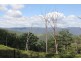 1565 Billarimba Road, Tenterfield NSW 2372