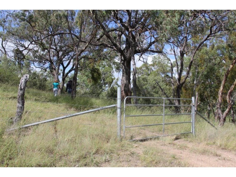 Lot 1 Sawyers Gully Road, Tenterfield NSW 2372