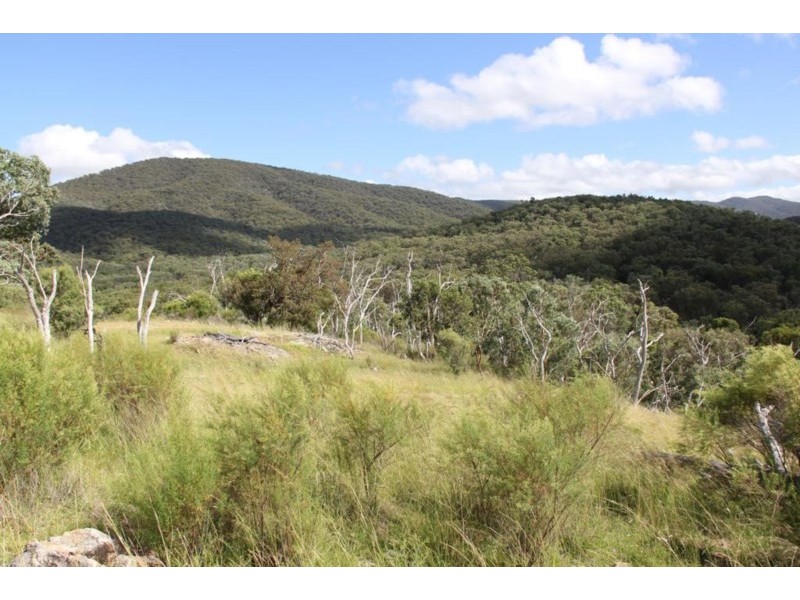 Lot 1 Sawyers Gully Road, Tenterfield NSW 2372