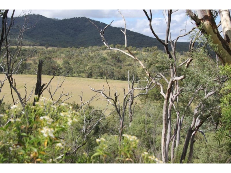 Lot 1 Sawyers Gully Road, Tenterfield NSW 2372