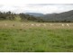 Lot 1 Sawyers Gully Road, Tenterfield NSW 2372
