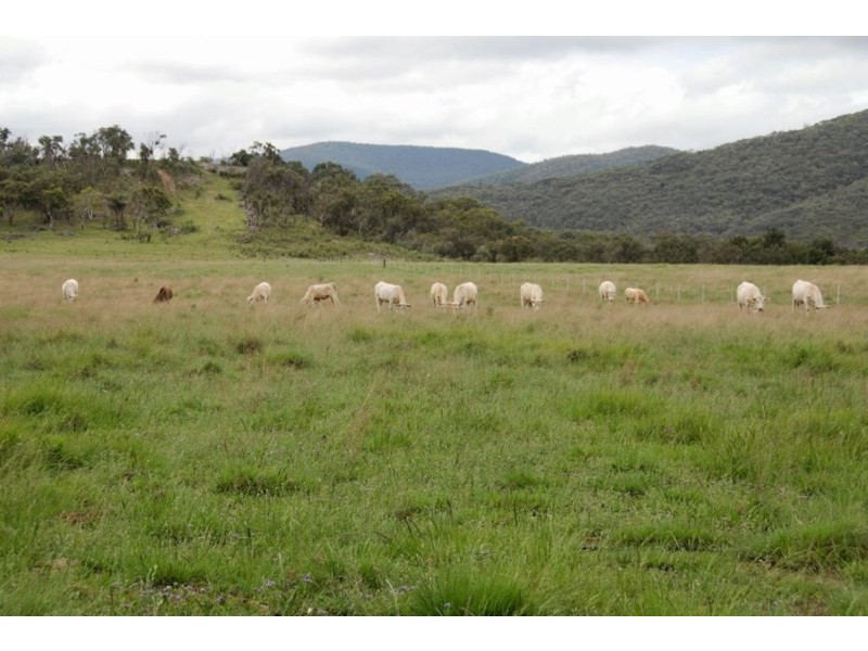 Lot 1 Sawyers Gully Road, Tenterfield NSW 2372
