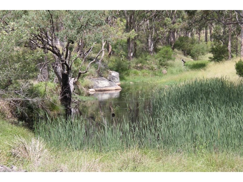2351 Bruxner Highway, Tenterfield NSW 2372