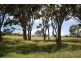 1277 Black Swamp Road, Tenterfield NSW 2372