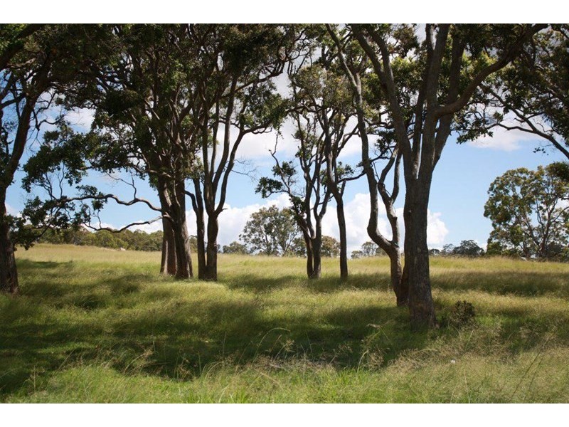 1277 Black Swamp Road, Tenterfield NSW 2372