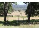 1277 Black Swamp Road, Tenterfield NSW 2372