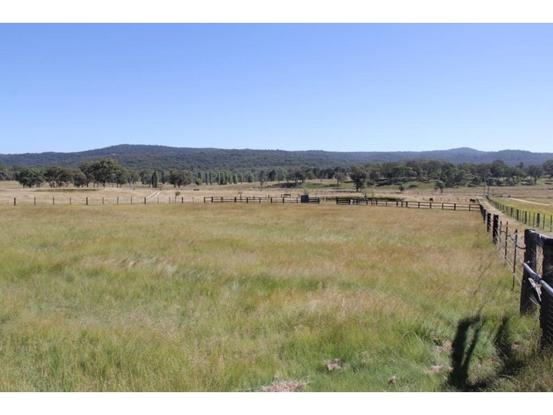 1277 Black Swamp Road, Tenterfield NSW 2372