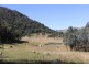 397 Scrub Road, Tenterfield NSW 2372