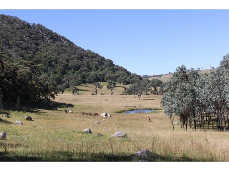 397 Scrub Road, Tenterfield NSW 2372