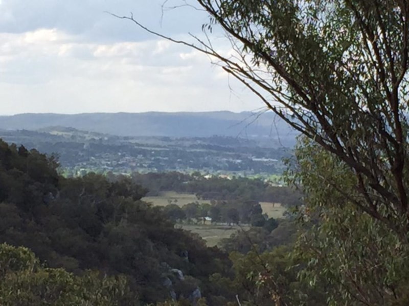 397 Scrub Road, Tenterfield NSW 2372