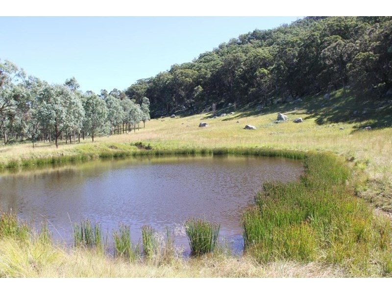 397 Scrub Road, Tenterfield NSW 2372