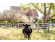 8866 New England Highway, Tenterfield NSW 2372