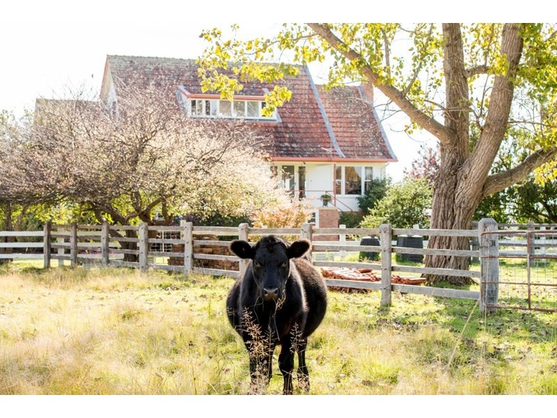 8866 New England Highway, Tenterfield NSW 2372