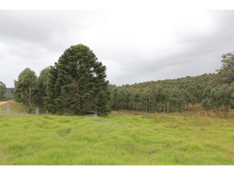 Tenterfield NSW 2372