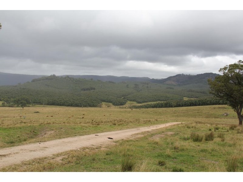 Tenterfield NSW 2372