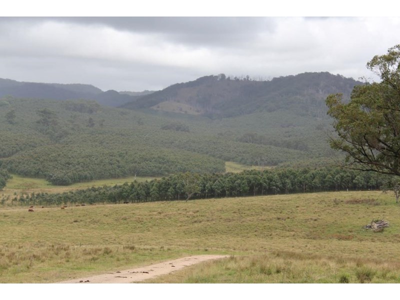 Tenterfield NSW 2372