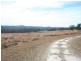 Lot 2 Bryans Gap Road, Tenterfield NSW 2372