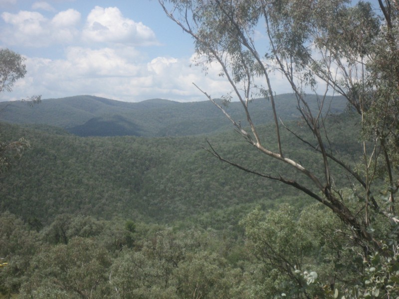 Tenterfield NSW 2372