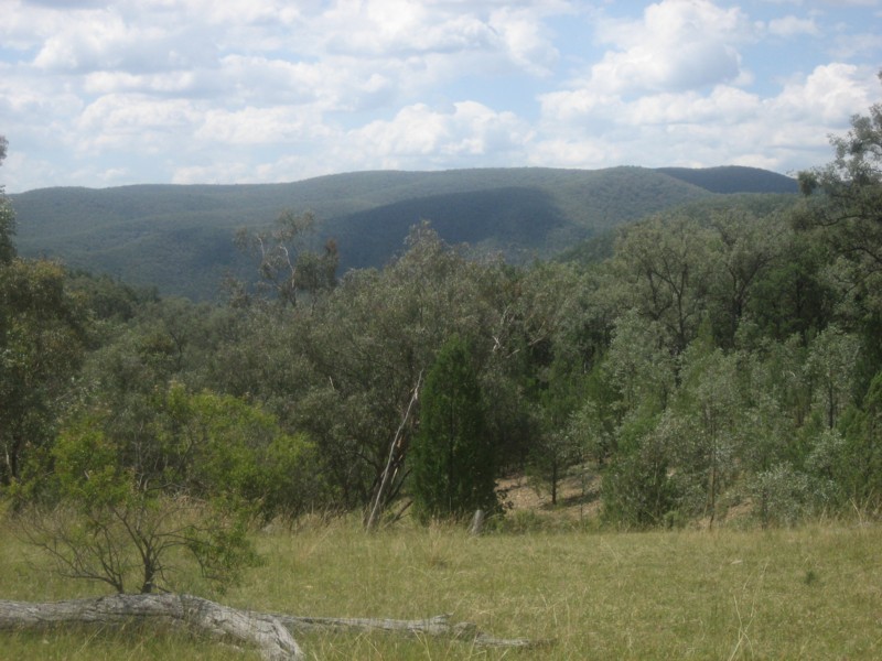 Tenterfield NSW 2372