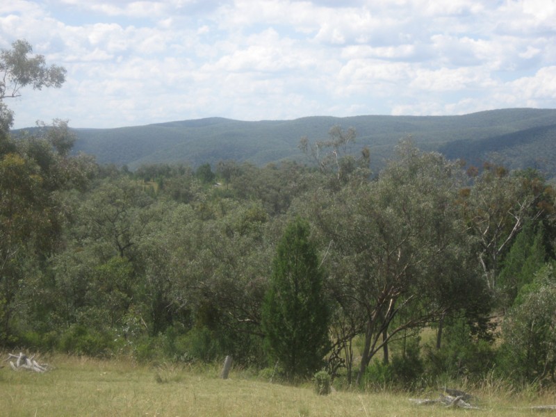 Tenterfield NSW 2372