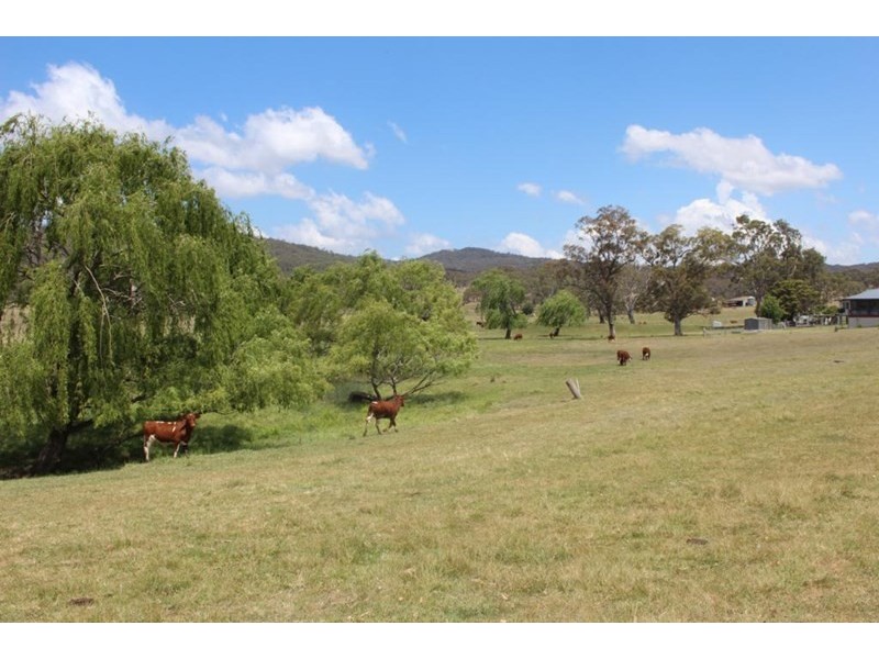 1,2, and 3 East Street, Tenterfield NSW 2372