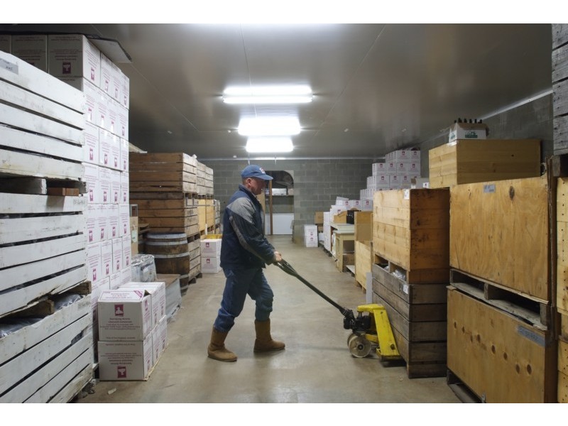 Tenterfield NSW 2372