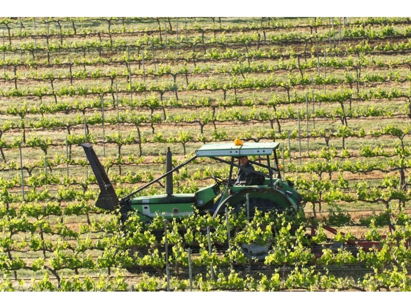 Tenterfield NSW 2372