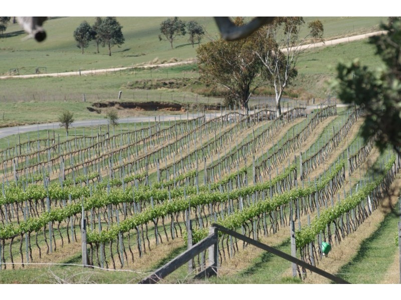 Tenterfield NSW 2372