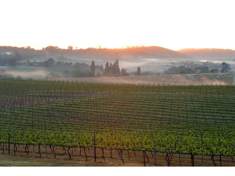 Tenterfield NSW 2372