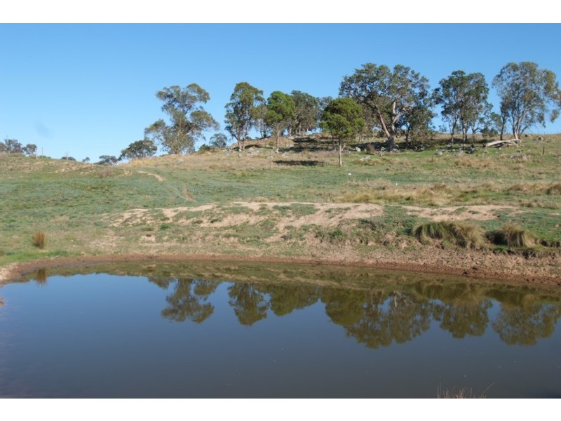 Tenterfield NSW 2372