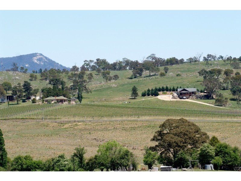 Tenterfield NSW 2372