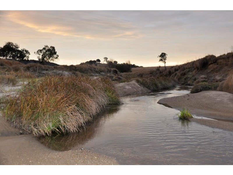 61 Swamp Oak Creek Road, Tenterfield NSW 2372