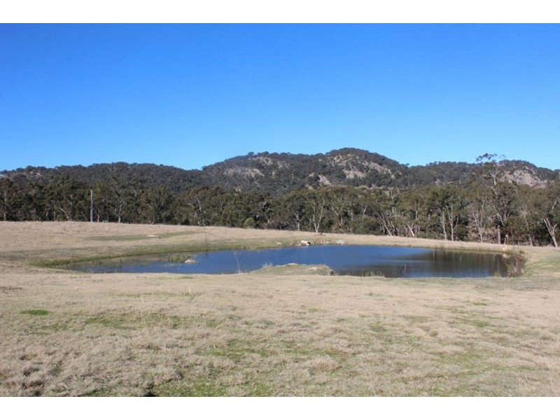 7437 New England Highway, Tenterfield NSW 2372