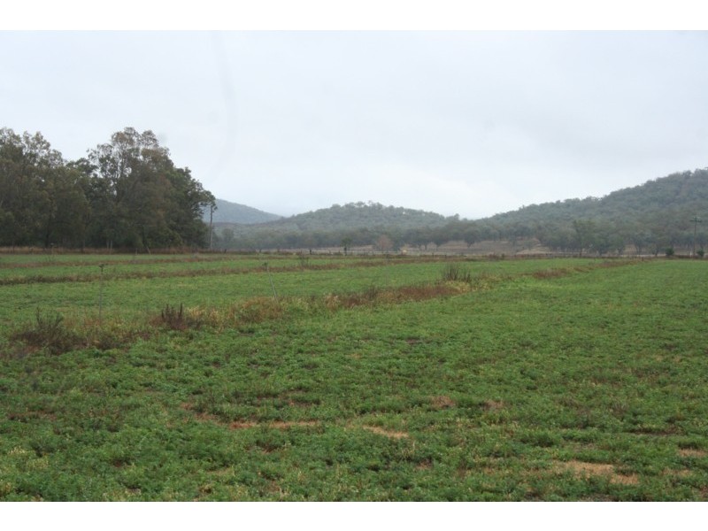 Tenterfield NSW 2372