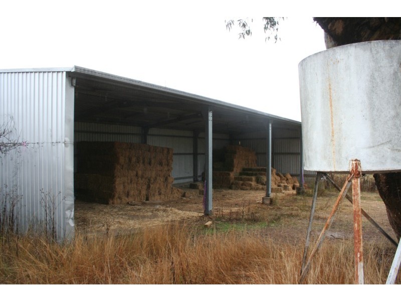 Tenterfield NSW 2372