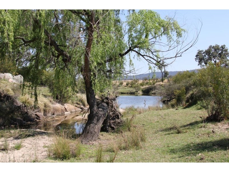 796 New England Highway, Tenterfield NSW 2372