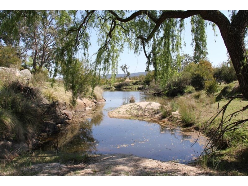 796 New England Highway, Tenterfield NSW 2372